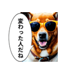 イケてるワンコ︎ ︎ ︎（個別スタンプ：10）