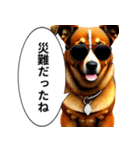 イケてるワンコ︎ ︎ ︎（個別スタンプ：11）