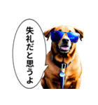 イケてるワンコ︎ ︎ ︎（個別スタンプ：12）