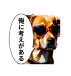 イケてるワンコ︎ ︎ ︎（個別スタンプ：13）
