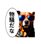 イケてるワンコ︎ ︎ ︎（個別スタンプ：14）