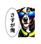 イケてるワンコ︎ ︎ ︎（個別スタンプ：16）