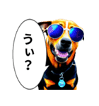 イケてるワンコ︎ ︎ ︎（個別スタンプ：17）