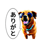 イケてるワンコ︎ ︎ ︎（個別スタンプ：23）