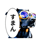イケてるワンコ︎ ︎ ︎（個別スタンプ：24）