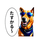 イケてるワンコ︎ ︎ ︎（個別スタンプ：26）