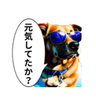 イケてるワンコ︎ ︎ ︎（個別スタンプ：27）