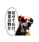 イケてるワンコ︎ ︎ ︎（個別スタンプ：29）