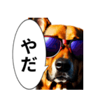イケてるワンコ︎ ︎ ︎（個別スタンプ：30）