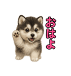 子犬verハスキー（個別スタンプ：1）