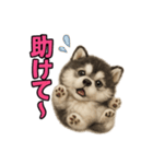 子犬verハスキー（個別スタンプ：3）