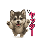 子犬verハスキー（個別スタンプ：8）