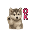 子犬verハスキー（個別スタンプ：9）