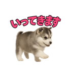 子犬verハスキー（個別スタンプ：17）