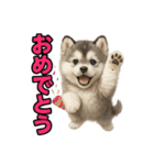 子犬verハスキー（個別スタンプ：25）