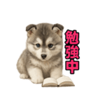 子犬verハスキー（個別スタンプ：26）