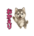 子犬verハスキー（個別スタンプ：29）