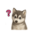 子犬verハスキー（個別スタンプ：30）