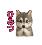 子犬verハスキー（個別スタンプ：32）