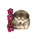 子犬verハスキー（個別スタンプ：33）