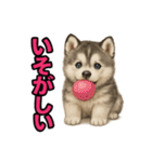 子犬verハスキー（個別スタンプ：35）