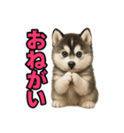 子犬verハスキー（個別スタンプ：37）
