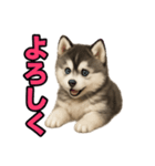 子犬verハスキー（個別スタンプ：38）