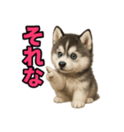 子犬verハスキー（個別スタンプ：39）