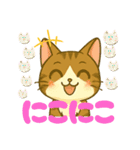 キジ白おはぎちゃんのスタンプです。（個別スタンプ：20）