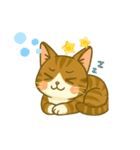 キジ白おはぎちゃんのスタンプです。（個別スタンプ：26）
