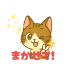 キジ白おはぎちゃんのスタンプです。（個別スタンプ：31）