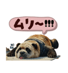 日常くまちゃんスタンプたち（個別スタンプ：19）