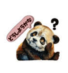 日常くまちゃんスタンプたち（個別スタンプ：21）