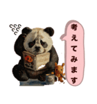 日常くまちゃんスタンプたち（個別スタンプ：26）