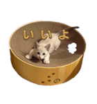 おじょう日記（個別スタンプ：7）