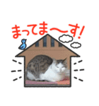 豆大福(さんま)と仲間達（個別スタンプ：5）