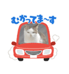 豆大福(さんま)と仲間達（個別スタンプ：6）