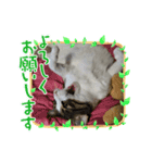 豆大福(さんま)と仲間達（個別スタンプ：8）