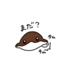 わさびとにちみ5（個別スタンプ：8）
