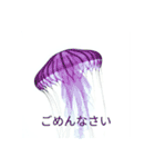生き物（リアル）（個別スタンプ：10）