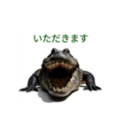 生き物（リアル）（個別スタンプ：11）