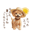夏！暑さに負けないトイプードル（個別スタンプ：3）