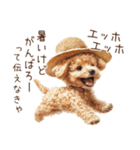 夏！暑さに負けないトイプードル（個別スタンプ：5）