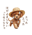 夏！暑さに負けないトイプードル（個別スタンプ：6）