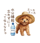 夏！暑さに負けないトイプードル（個別スタンプ：7）