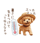 夏！暑さに負けないトイプードル（個別スタンプ：10）