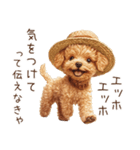 夏！暑さに負けないトイプードル（個別スタンプ：11）