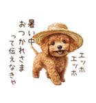 夏！暑さに負けないトイプードル（個別スタンプ：14）