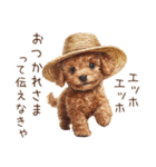 夏！暑さに負けないトイプードル（個別スタンプ：15）