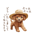 夏！暑さに負けないトイプードル（個別スタンプ：17）